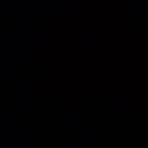 Meet your Posher, Lia